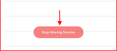 ShowDefaultStopButton